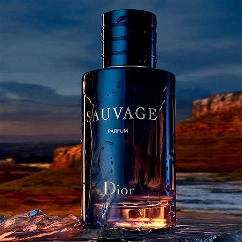 best dior dupes|dupe dior sauvage.